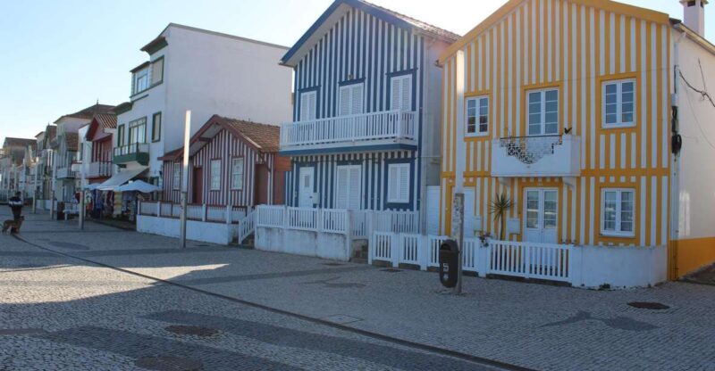 Costa Nova and Barra Beach Tour - What to Expect from the Tour