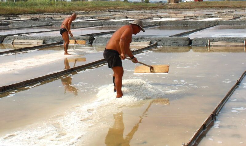 Costa Nova and Barra Beach Tour - The Practical Side: Transportation & Timing