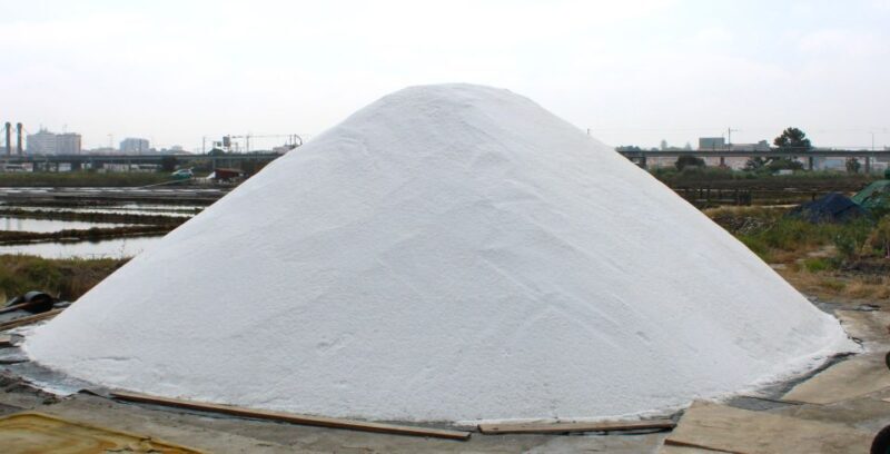 Costa Nova and Barra Beach Tour - Price & Value Analysis