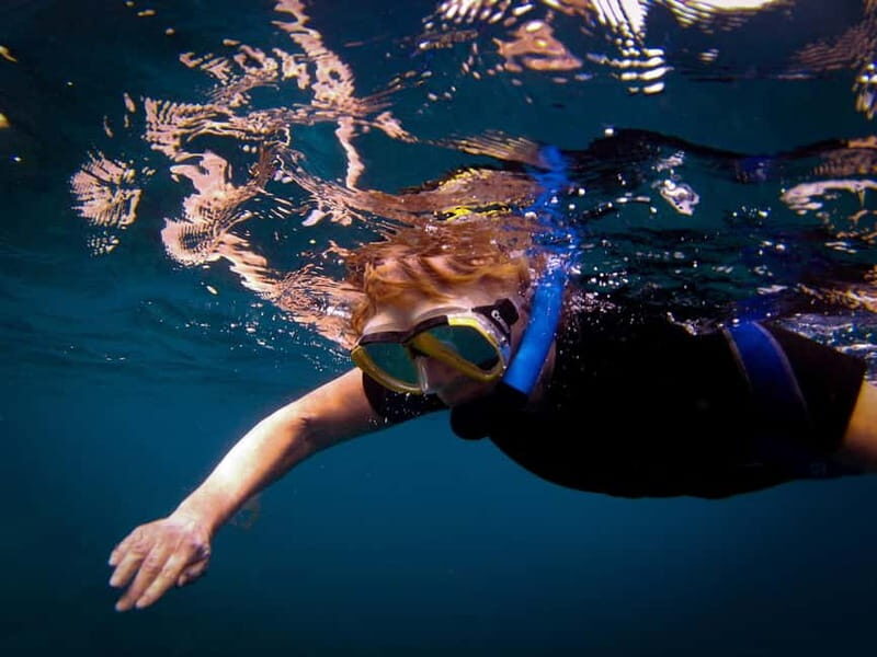 Costa Teguise: Guided 2-hour Snorkeling Tour for all levels - Final Thoughts: Is This Snorkeling Tour Right for You?