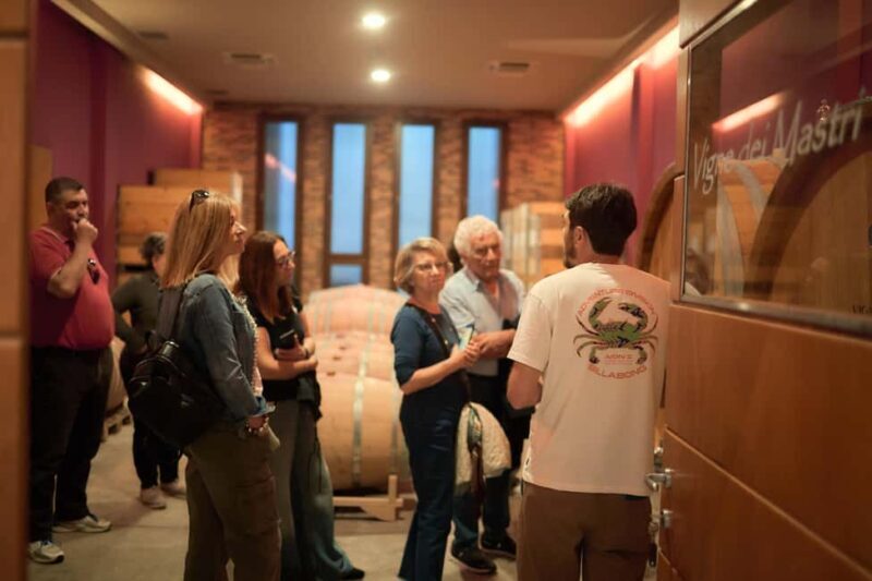 Costigliole d'Asti: Cellar tour and tasting - Who Should Consider This Tour?