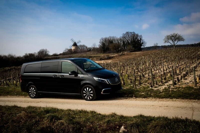 Côte de Beaune and Côte de Nuits : Private Full day Winetour - Key Points