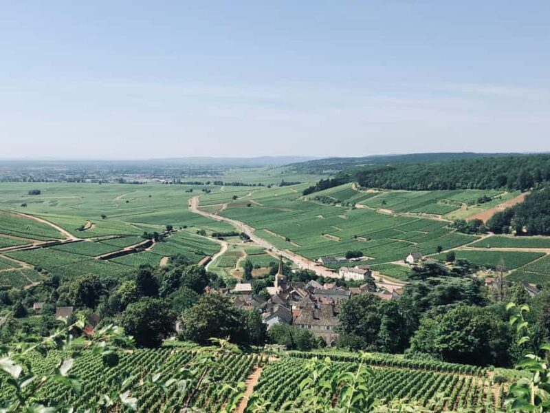 Côte de Beaune and Côte de Nuits : Private Full day Winetour - The Experience Provider & Booking Details