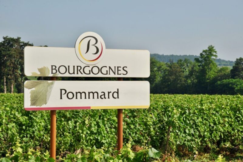 Côte de Beaune Private Local Wineries and Wine Tasting Tour - Key Points
