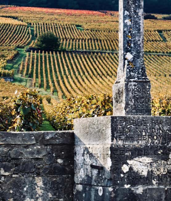 Côte de Nuits: Excursion in the heart of the vineyards - Experience Breakdown