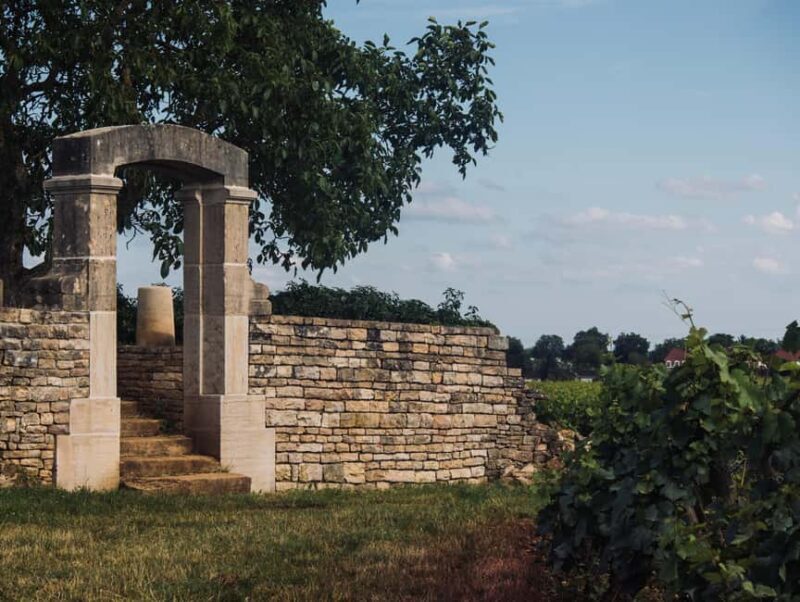 Côte de Nuits: Excursion in the heart of the vineyards - The Value of This Experience
