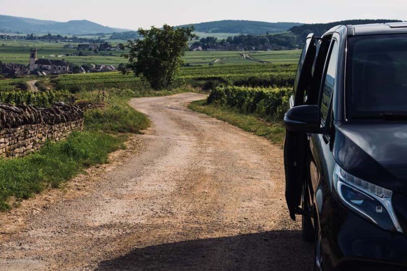 Côte de Nuits: Excursion in the heart of the vineyards - Who Should Consider This Tour?