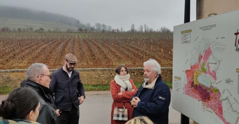 Côte de Nuits Private Local Wineries and Wine Tasting Tour - Key Points
