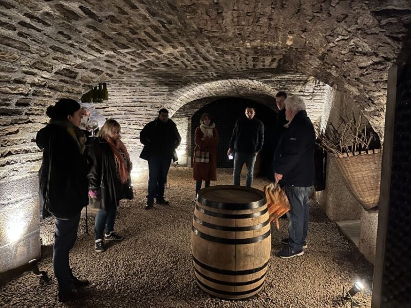 Côte de Nuits Private Local Wineries and Wine Tasting Tour - An Overview of the Côte de Nuits Wine Tour