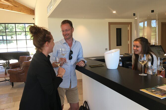 Côtes de Provence Small Group Day Trip with Winery Visits & Tastings from Nice - Who Should Consider This Tour?