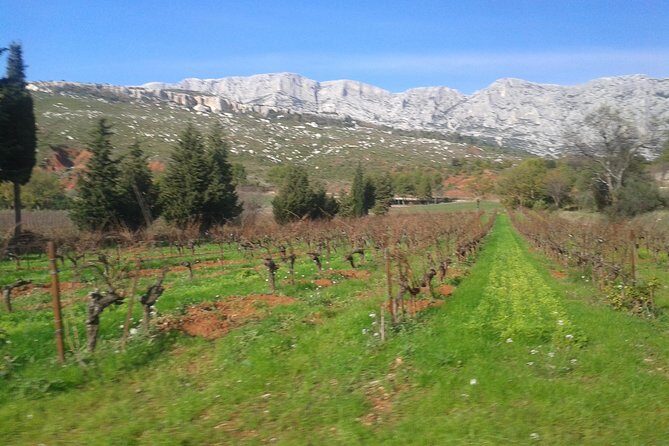 Cotes de Provence Wine Tour from Aix-en-Provence - The Experience Breakdown: What to Expect