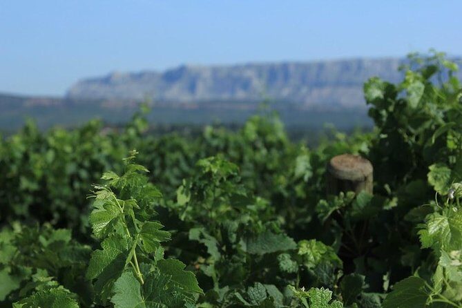 Cotes de Provence Wine Tour from Aix-en-Provence - FAQs