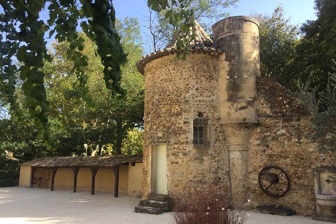 Côtes du Rhône Wine tour: Avignon, Palace of the Popes - The Day in Detail: What You Can Expect