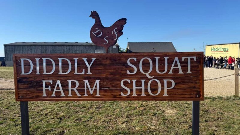 Cotswolds: Clarkson's Farm Tour with Diddly Squat Visit - The Experience: Pros and Cons