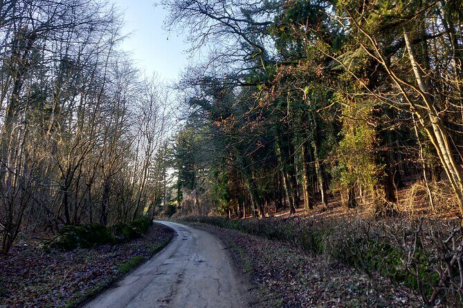 Cotswolds One Day Guided Cycle Tour - Private Groups - Who Will Love This Tour?