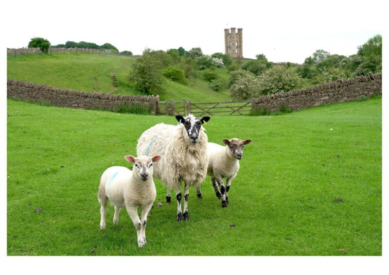 Cotswolds Villages & Countryside: Private Luxury Tour - FAQ