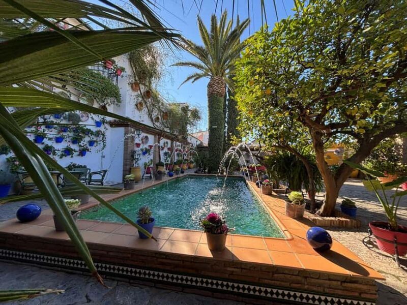 Countryside and Patios: Tour to Rute, Iznájar, and the Cordovan Subbética - A Deep Dive into the Tour Experience