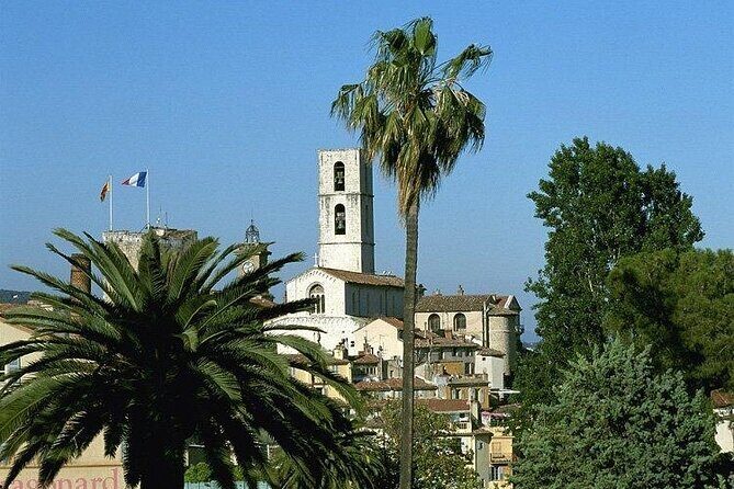 Countryside and Wine Tasting Full-day tour from Cannes - Is This Tour Right for You?