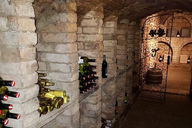 Countryside Half Day Wine Tour near Vienna - The Itinerary: What to Expect From Start to Finish