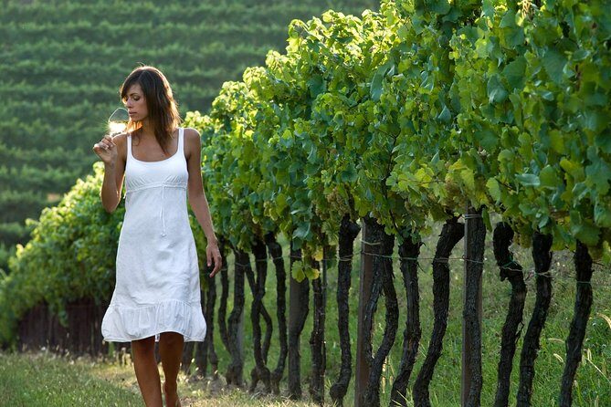 Countryside Half Day Wine Tour near Vienna - FAQs