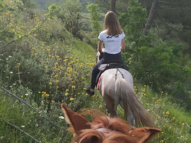 Countryside Horseback Ride in Gjinofshat - The Experience: What You Can Expect