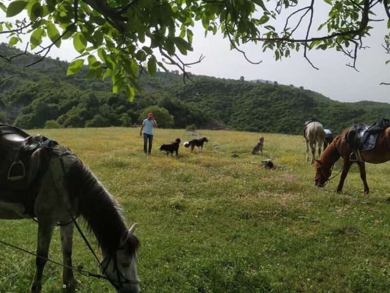 Countryside Horseback Ride in Gjinofshat - FAQ