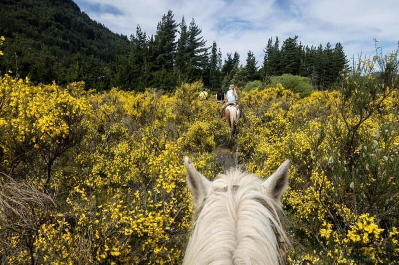 Countryside Immersion with Horseback Ride in Sainte Victoire - An Overview of the Experience