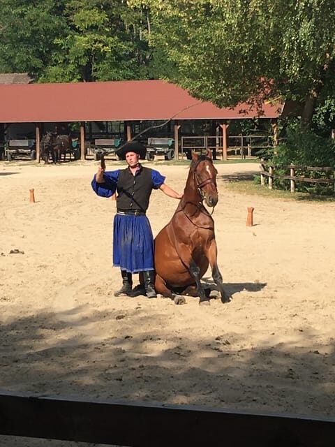 Countryside ranch, horse show & lunch - Frequently Asked Questions