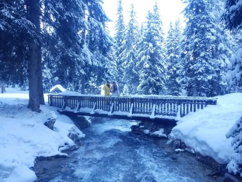 Courchevel: Snowshoeing or Nordic Walking - A Closer Look at the Experience