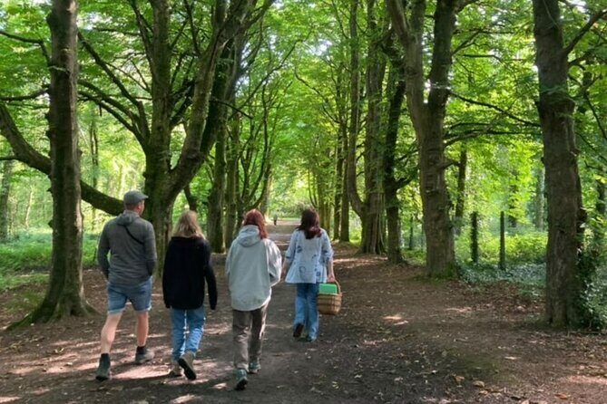 Courtown Woodland Guided Tour - Discovering Courtown Woods: What You Can Expect