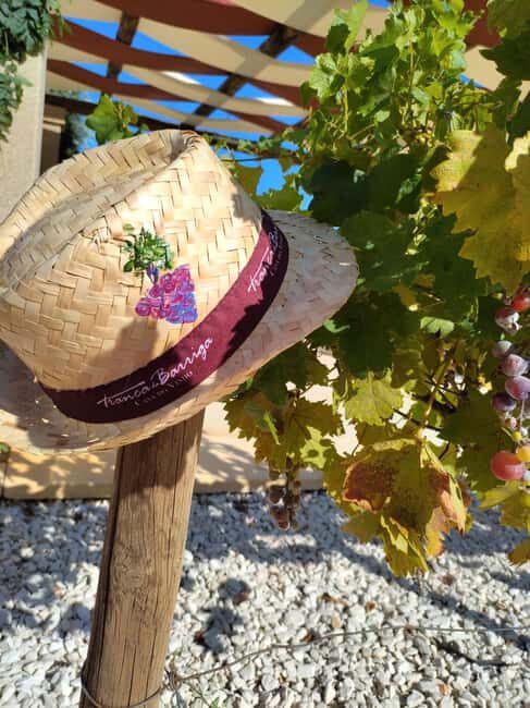 Covilhã: Acrylic painting workshop with wine tasting - What Is This Tour All About?