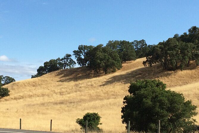 Cow Heaven: A Self-Guided Driving Tour from Point Reyes Seashore to Tomales - Highlighted Stops & What Youll See