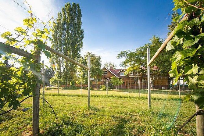 Cowichan Valley Premium Wine Tour - An Inside Look at the Cowichan Valley Premium Wine Tour