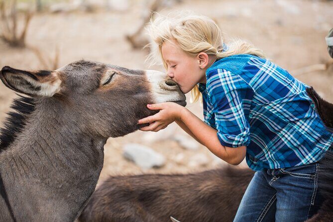 Cowpoke Ride: Adventurous horseback tour just 9 MILES from Sedona - Final Thoughts