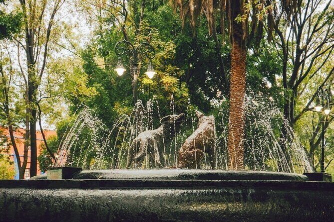 Coyoacán and Xochimilco Private Tour - FAQ