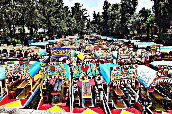 Coyoacan and Xochimilco Tour - The Guide and Experience Quality