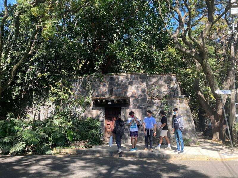 COYOACAN: FRIDA KAHLO STEPS IN COYOACAN AND SAN ANGEL CDMX - Frequently Asked Questions