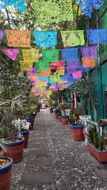 Coyoacan, history and life in a magical neighborhood - An intimate look at Coyoacan’s streets and stories