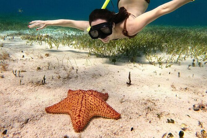 Cozumel 4 Hour Boat Sky Tour - Who Should Consider This Tour?