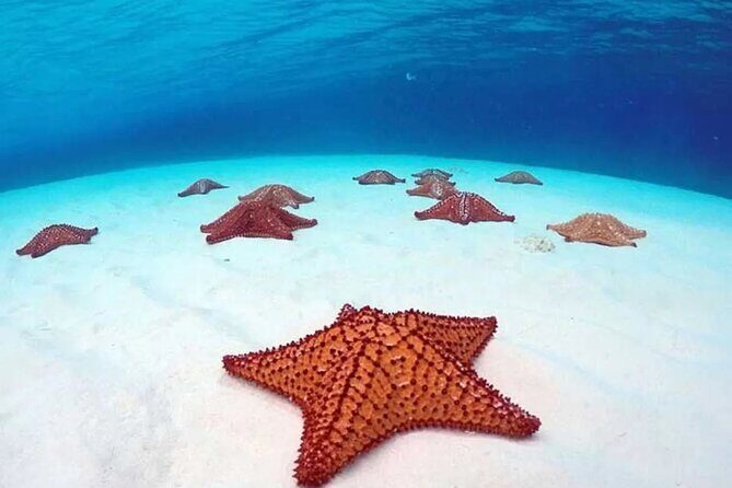 Cozumel 4 Hour Boat Sky Tour - Final Thoughts: Is It Worth It?