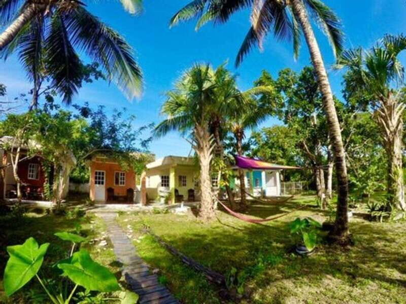 Cozumel: 6 Days Yoga, Sound Healing, and Dive Retreat - Comfort and Community