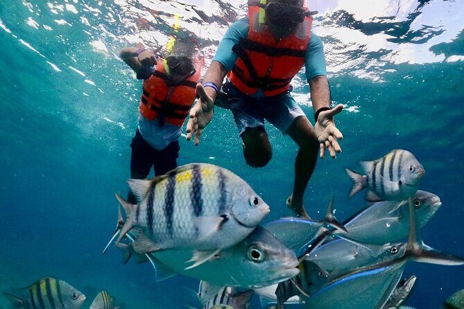 Cozumel Adventure! 2 hours Snorkel + Round Transportation from Cancun - Who Is This Tour Best Suited For?