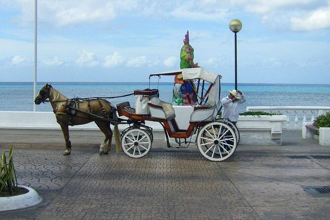 Cozumel Adventure - A Closer Look at the Cozumel Adventure Tour