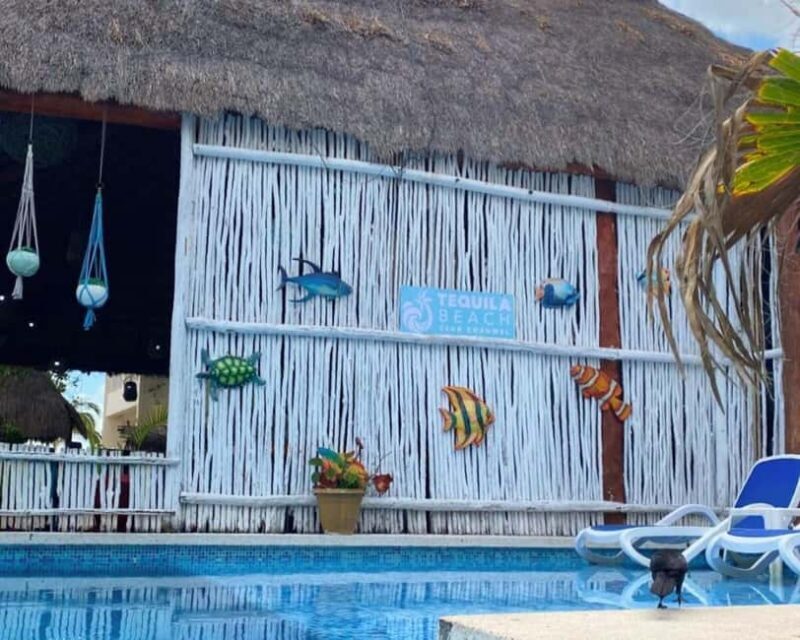 Cozumel: All-Inclusive Beach Club Day Pass with Open Bar - Final Thoughts: Is It Worth It?