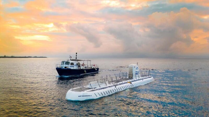 Cozumel: Atlantis Submarine Adventure - Who Will Love This Tour?