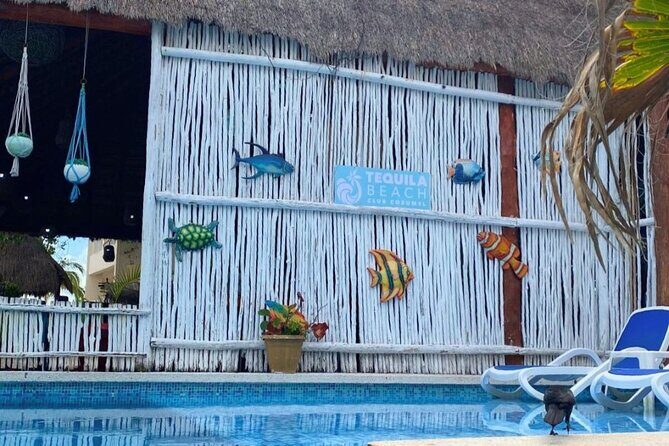 Cozumel Beach Club with Unlimited Food and Drinks - Frequently Asked Questions