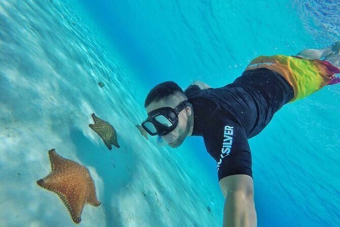 Cozumel by transparent boat and snorkeling in the sky with lunch. - Key Points