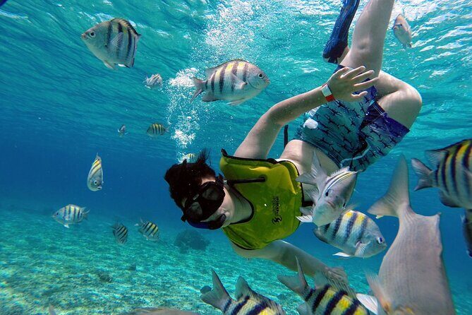 Cozumel by transparent boat and snorkeling in the sky with lunch. - An in-depth look at what makes this tour stand out