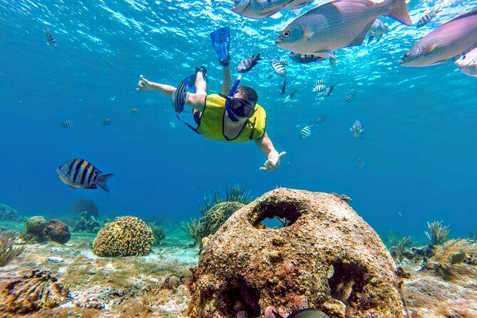 Cozumel by transparent boat and snorkeling in the sky with lunch. - FAQs