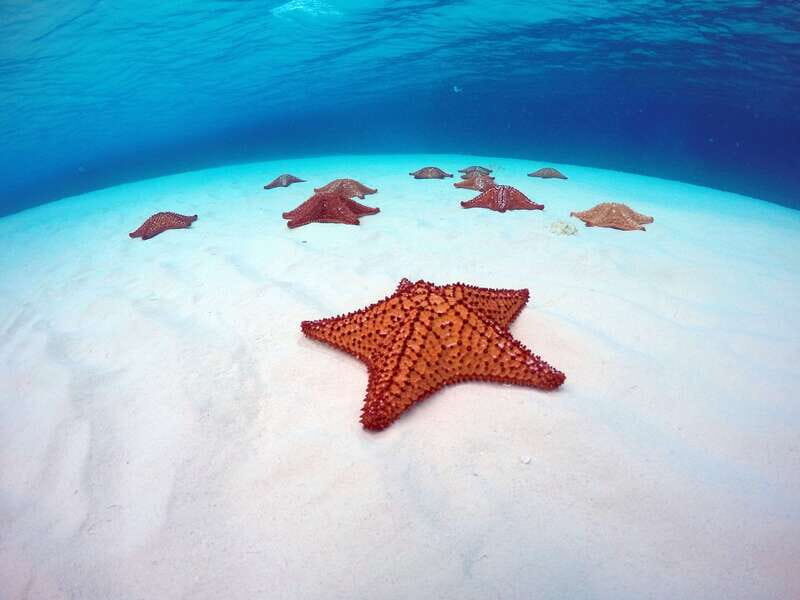 Cozumel: Catamaran, El Cielo Bay & Palancar Reef with Lunch - Practical Details and Considerations